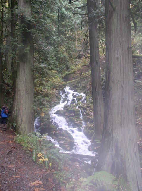 10.28.05 Devil's Rest 040 